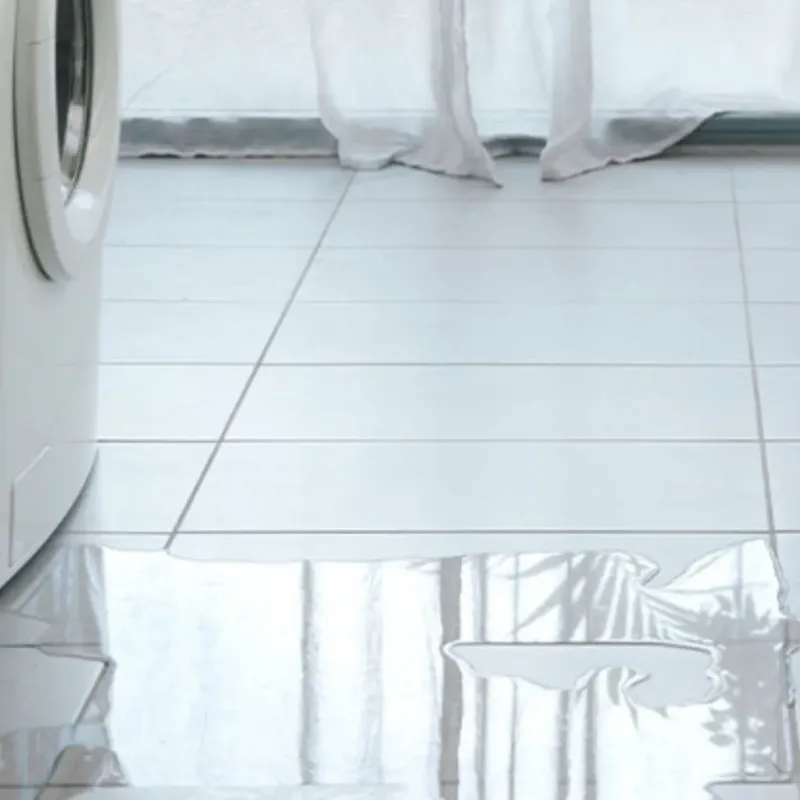 Appliance Leak Cleanup in White City, FL