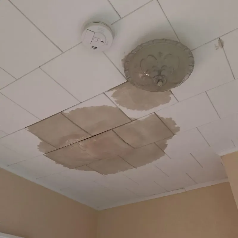 Ceiling Water Damage Repair in White City, FL